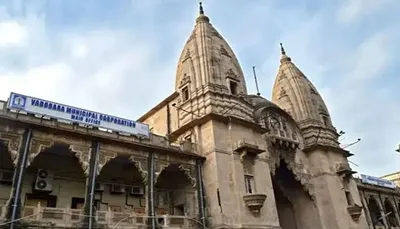 વડોદરામાં રખડતા ઢોરને પકડીને પુરવા માટેના ડબ્બાની કામગીરી આઉટસોર્સથી કરાશે