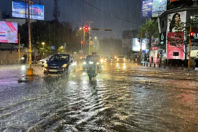 ગુજરાતમાં અષાઢી માહોલ સર્જાયો  મોડી રાતે અમદાવાદ સહિત અનેક વિસ્તારોમાં વરસાદ