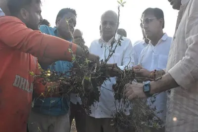 ગીર સોમનાથ  જુનાગઢમાં ભૂપેન્દ્ર પટેલે પાક નુકસાનીનું સ્થળ સ્થિતિનું નિરીક્ષણ કર્યુ  ખેડૂતોની વ્યથા સાંભળી