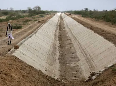 નર્મદા યોજનાના માઈનોર અને પેટા માઈનોર કેનાલના 6000 કિમીના કામો બાકી