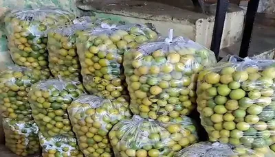 ઉનાળાના આગમન સાથે લીંબુના ભાવમાં થયો વધારો