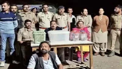 રાજકોટના ખેતલા આપાના મંદિરમાંથી 52 સાપ મળ્યા  મહંતની અટકાયત