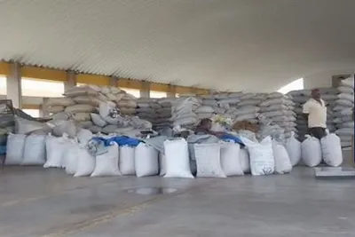 અમરેલી માર્કેટ યાર્ડમાં મગફળી  કપાસ સહિત ખરીફ પાકની ધૂમ આવક