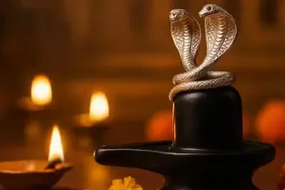 શિવલિંગ પર ચાંદીના સાપની જોડી ચઢાવવાથી શું થાય છે  જાણો તેના ફાયદા