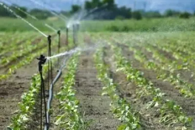 ગુજરાતમાં છેલ્લા એક વર્ષમાં 1 20 લાખ હેક્ટર વિસ્તારને સૂક્ષ્મ સિંચાઈ પદ્ધતિ હેઠળ આવરી લેવાયો