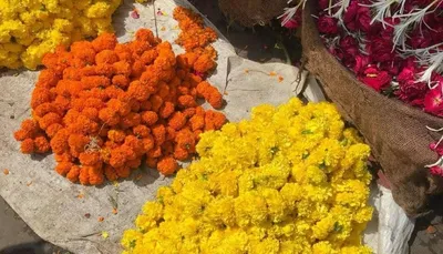 શ્રાવણ મહિનાના તહેવારો પહેલા જ ગુલાબ  મોગરા સહિત ફુલોના ભાવમાં થયો વધારો