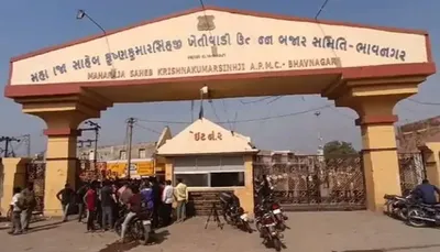 ભાવનગર માર્કેટ યાર્ડમાં કાલે 18મીથી 25મી ઓક્ટોબર સુધી હરાજી બંધ રહેશે