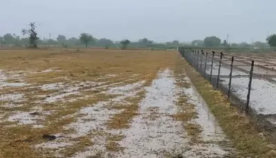 ભાવનગર જિલ્લામાં સર્વેની કામગીરી સામે ખેડૂતોનો વિરોધ  100 ટકા વળતરની માગ