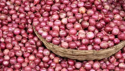 માર્કેટ યાર્ડ્સમાં પ્રતિકિલો 9ના ભાવે ખરીદાતી ડુંગળી ગ્રાહકોને 40થી 50ના ભાવે વેચાય છે