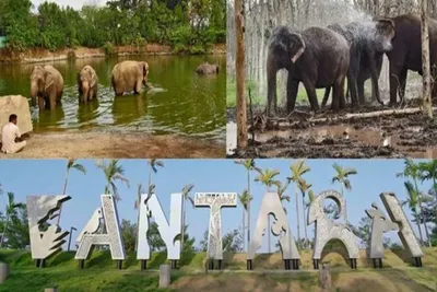 સંયુક્ત રાષ્ટ્ર સંગઠન cites દ્વારા જામનગરમાં સ્થિત વનતારાને વિશ્વનું શ્રેષ્ઠ વન્યજીવન સંરક્ષણ કેન્દ્ર જાહેર કર્યું