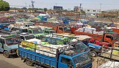 રાજકોટ માર્કેટ યાર્ડમાં ખરીફ પાકની 1 5 લાખ મણની આવક  2000 વાહનોની લાઈનો લાગી