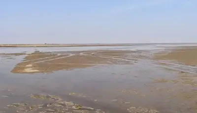 ધ્રાંગધ્રા અને પાટડી રણમાં કમોસમી વરસાદથી અગરિયાને ભારે નુકસાન