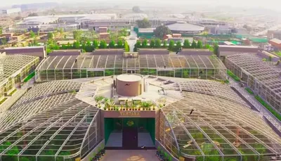 જુનાગઢના સક્કરબાગ ઝૂમાંથી 20 સિંહોને જામનગરના વનતારામાં મોકલાયા