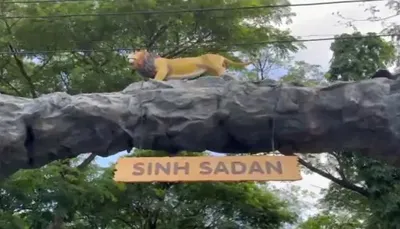 સાસણગીરના સિંહ સદનના નામે ફેક વેબસાઈટ બનાવીને છેતરપિંડી કરતા સાયબર માફિયાઓ