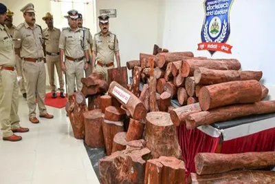 બેંગલુરુ પોલીસે 1 75 કરોડ રૂપિયાનું લાલ ચંદનની દાણચોરીનો રેકેટનો પર્દાફાશ