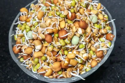 સવારના નાસ્તામાં સામેલ કરો ફણગાવેલા આ કઠોળ  આખો દિવસ શરીરમાં રહેશે એનર્જી