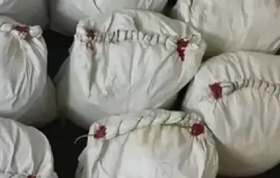 ગુજરાતમાં છેલ્લા 5 વર્ષમાં કરોડો રૂપિયાનું 91453 કિલો ડ્રગ્સ પકડાયુ