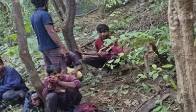 અમીરગઢના જંગલમાંથી નીલગાયનો શિકાર કરતી 10 શખસોની ગેન્ગ પકડાઈ