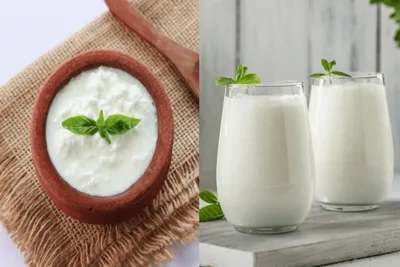 દહીં vs છાશ  જાણો બેમાંથી કયું તમારા સ્વાસ્થ્ય માટે છે શ્રેષ્ઠ