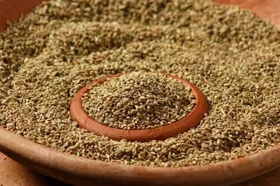 ચોમાસામાં અજમાનો નિયમિત ઉપયોગ કરવાથી અનેક બીમારીઓમાં મળશે રાહત