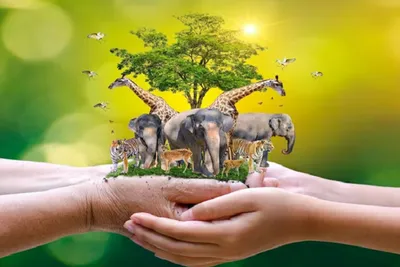 હવે આગામી દિવસોમાં લોકો પ્રાણીઓની ભાષા પણ સમજી શકશે