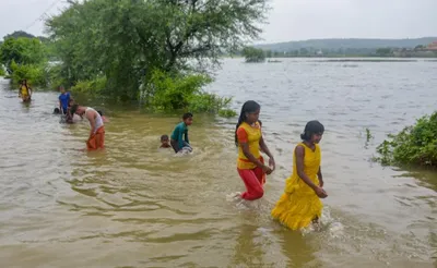 ચંદૌલી અને ગાઝીપુરના ગ્રામીણ વિસ્તારોમાં પૂરના કારણે તબાહી  ઘરો અને ખેતરો પાણીથી ભરાયા
