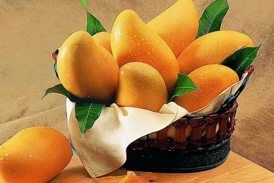 અમેરિકામાં ભારતીય કેરીની આ 5 જાતોની માંગ વધી