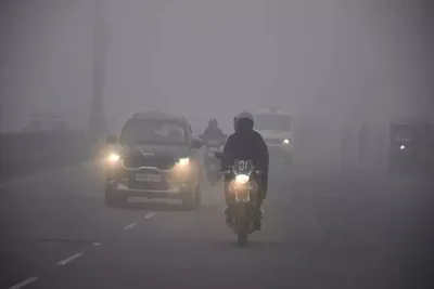 દિલ્હીમાં ગંભીર પ્રદુષણને પગલે સરકારનો નિર્ણય  50 ટકા સ્ટાફ ઘરેથી કામ કરશે