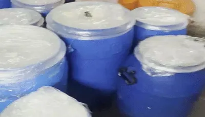 સુરતમાં 955 કિલો નકલી પનીરનો જથ્થો પકડાયો  હવે sog  ઓપરેશન શુદ્ધિ  હેઠળ રેડ પાડશે