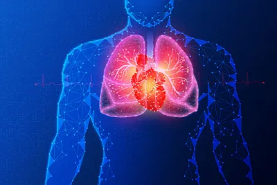 હાર્ટ એટેક પછી તરત જ સ્ટેમ સેલ થેરાપી આપવાથી હૃદયની નિષ્ફળતાનો ખતરો ઘટે છે