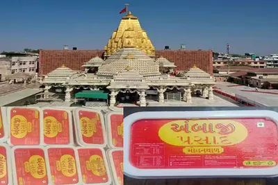 અંબાજી મેળામાં મોહનથાળ પ્રસાદનું અવિરત વિતરણ  700 થી પણ વધુ આદિવાસી ભાઈ બહેનો બનાવી રહ્યાં છે પ્રસાદ