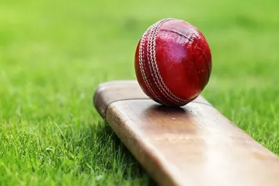 t20ના ટોપ 10 સૌથી સફળ બોલરોમાં એક પણ ભારતીય બોલર કેમ નથી  જાણો    