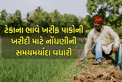 ગુજરાતઃ ટેકાના ભાવે ખરીફ પાકોની ખરીદી માટેની નોંધણીની સમયમર્યાદા લંબાવાઈ