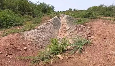 સુરેન્દ્રનગર જિલ્લામાં નર્મદાની માઈનોર કેનાલોમાં સિંચાઈ માટે પાણી છોડવા ખેડૂતોની માગ