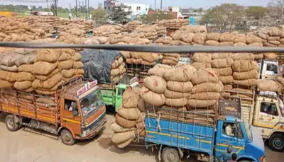 રાજકોટ માર્કેટ યાર્ડમાં દિવાળી બાદ ખરીફ પાકનું ખેડૂતોએ 147 કરોડનું વેચાણ કર્યુ