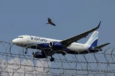 કુવૈતથી હૈદરાબાદ જતી ફ્લાઇટમાં બોમ્બ ધમકી  મુંબઈ એરપોર્ટ પર ઇમરજન્સી લેન્ડિંગ