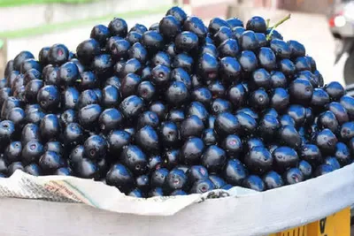 ઉનાળામાં જાંબુ ખાવાથી શરીરને થશે આ ફાયદા