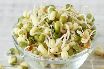 21 દિવસ સુધી દરરોજ સ્પ્રાઉટ્સ ખાવાથી તમારા શરીરને આ અદ્ભુત ફાયદા થશે