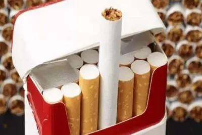 મુન્દ્રા પોર્ટ પર કસ્ટમ વિભાગે 1 11 કરોડની વિદેશી સિગારેટનો જથ્થો પકડી પાડ્યો