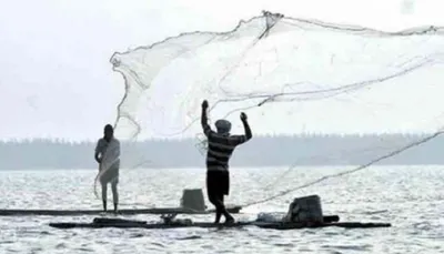 ગુજરાતના મત્સ્યઉદ્યોગમાં સૌરાષ્ટ્ર–કચ્છનો 80  ફાળો  આ વર્ષે 11  71 353 મેટ્રિક ટનનું લક્ષ્યાંક