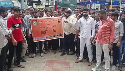 ભાવનગરમાં ગૌચરની જમીન પર બિલ્ડિંગો બની ગયા  માલધારી સમાજે કર્યો વિરોધ
