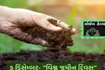 ગુજરાતના ખેડૂતોને 2 15 કરોડ જેટલા સોઇલ હેલ્થ કાર્ડનું વિનામૂલ્યે વિતરણ કરાયું