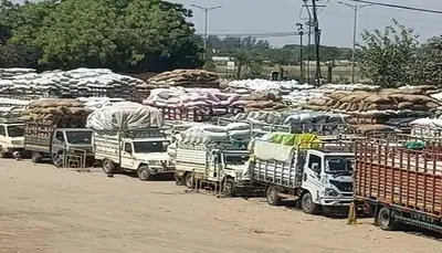 રાજકોટના માર્કેટ યાર્ડમાં ખરીફ પાકની ધૂમ આવક  યાર્ડ બહાર વાહનોની લાંબી લાઈનો લાગી