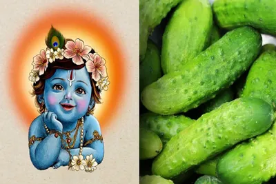 જન્માષ્ટમીની મધ્યરાત્રિએ શા માટે કાપવામાં આવે છે ડાળખીવાળી કાકડી  જાણો તેનું ધાર્મિક મહત્વ