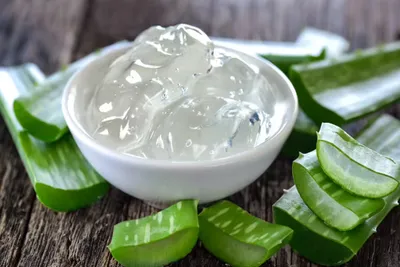 એલોવેરા ફક્ત ત્વચા માટે જ નહીં પણ વાળ માટે પણ એક વરદાન