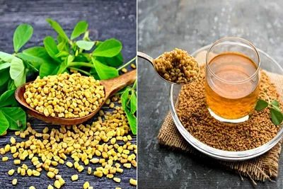 મેથીના દાણાથી લાંબા વાળ મેળવવાની 5 રીતો  તેનો ઉપયોગ કેવી રીતે કરવો જાણો